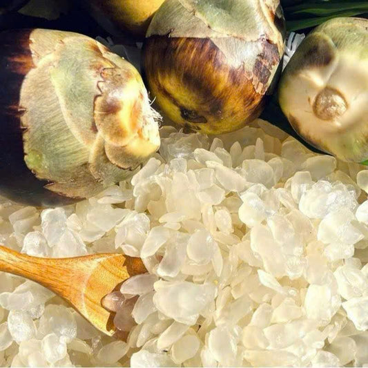 Thốt nốt sấy dẻo