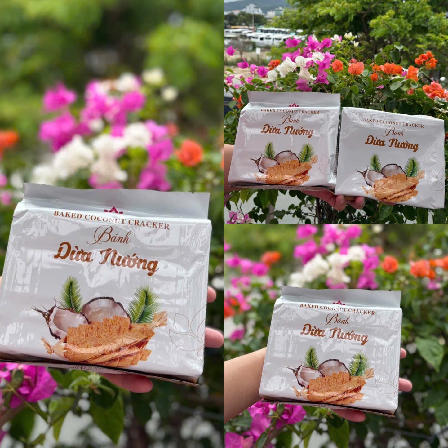 Bánh dừa nướng Cracker , túi 10 bịch , 2 túi/set (20 bịch)