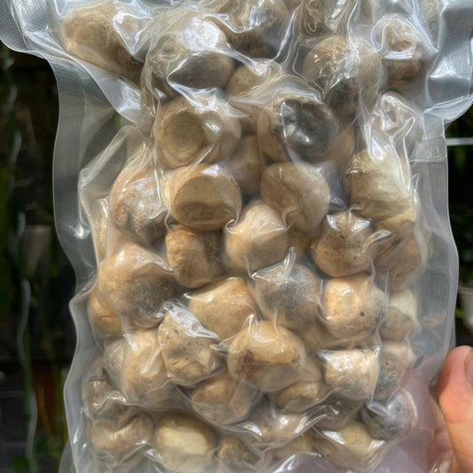Nấm Rơm