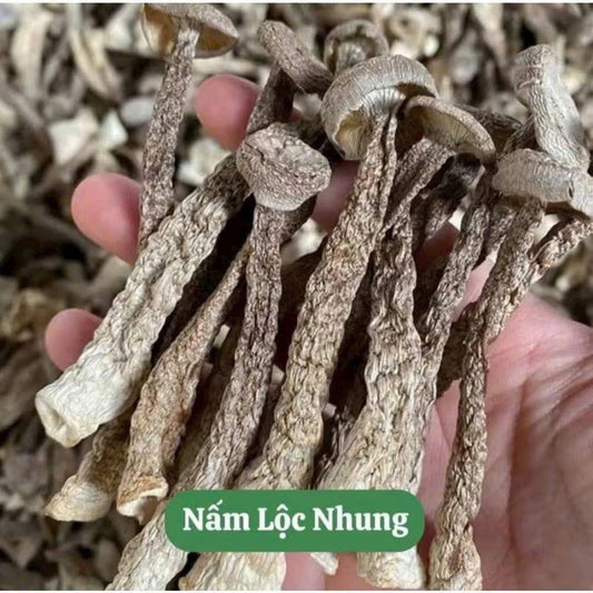 Nấm Lộc Nhung