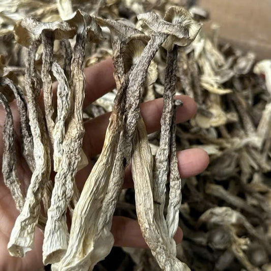 Nấm Lộc Nhung